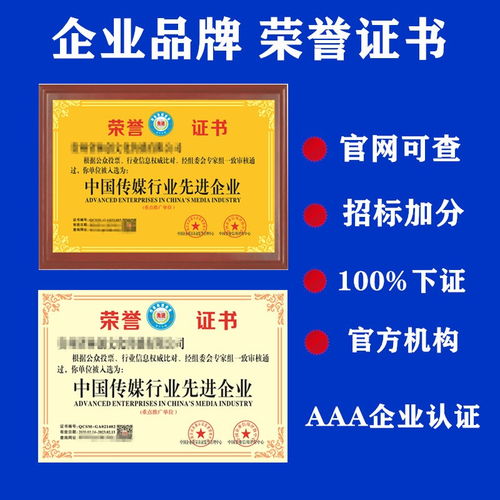 南阳网络文化经营许可证代办指南 专业机构推荐与咨询服务